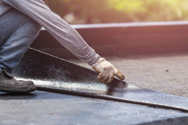 Professional Wet Basement Repair technician working in Riva, MD